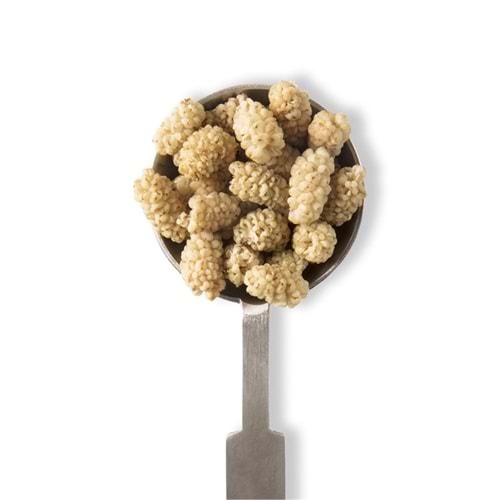 DUT KURUSU PÖTÜRGE