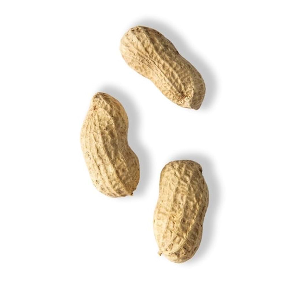 FISTIK KABUKLU TUZLU - 500 G